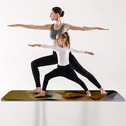 All Purpose Yoga Mat Exercise & amp; podloga za vježbu za jogu, plavo ružičaste vage s gradijentom