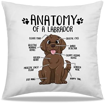 Dibor Anatomija bacadovog jastuka za bacanje labradora 18x18 in - poklon za ljubitelje psa labrador mama