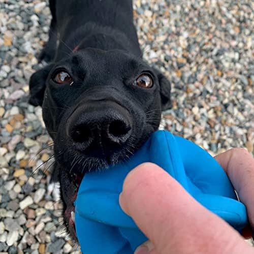Snuggle Puppy Bounderz-umetnite poslastice za hapšenje dosade-Durable 3.5 Velika plava igračka lopta koja je zabavna za jurenje i donošenje